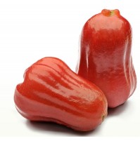 Red Water Apple